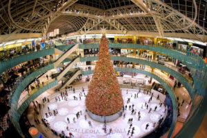 The Galleria